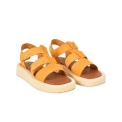 Pataugas ATARI/NU F2I OCRE -Pataugas SANDALE FEMME ATARI NU F2I OCRE 628448 251 4 0fc7fac9 5088 4f30 8f1a 4cc7a3bacf39